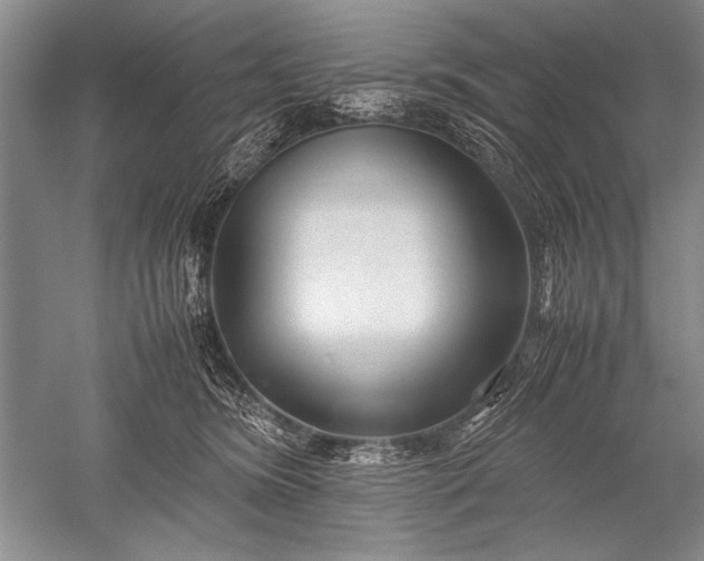 X0000052560420200507152231