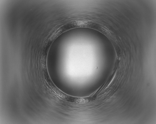 X0000052560421200507152231