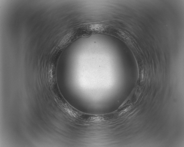 X0000052560424200507152231