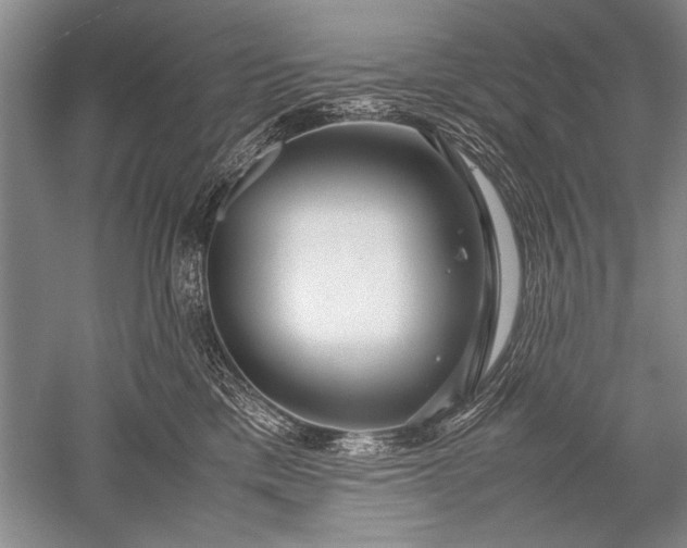 X0000052560425200507152231