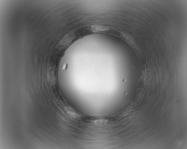 X0000052560426200507152231