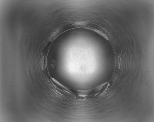X0000052560428200507152231