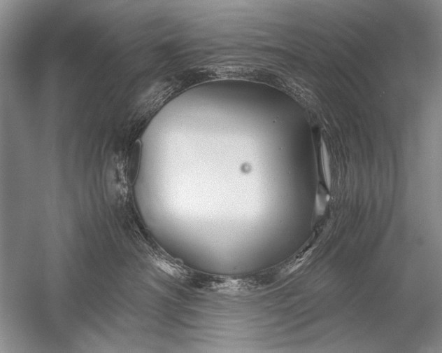 X0000052560430200507152231