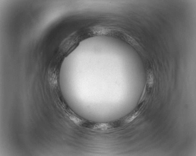 X0000052560431200507152231