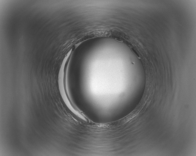 X0000052560432200507152231