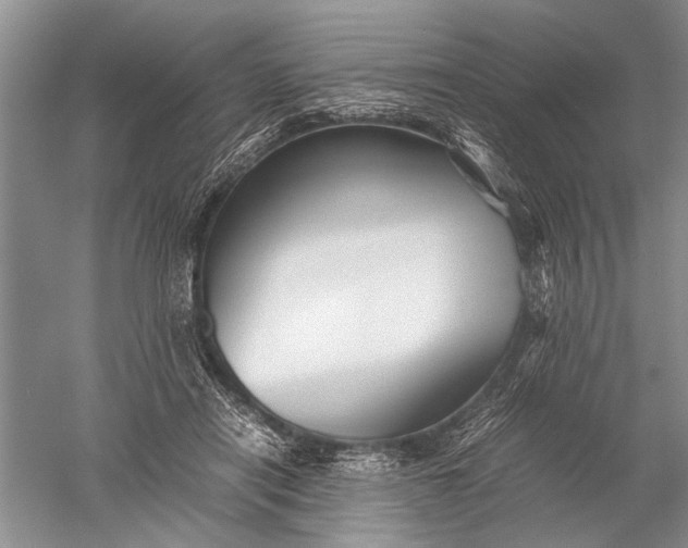 X0000052560454200507152230
