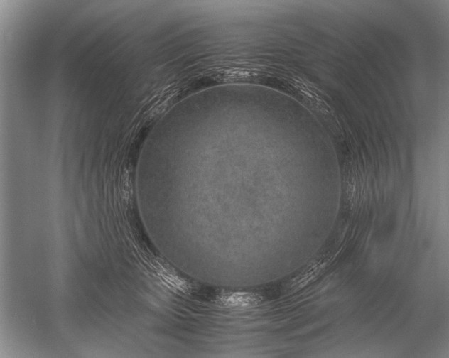X0000052560467200507152230