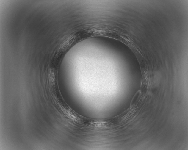 X0000052560472200507152231