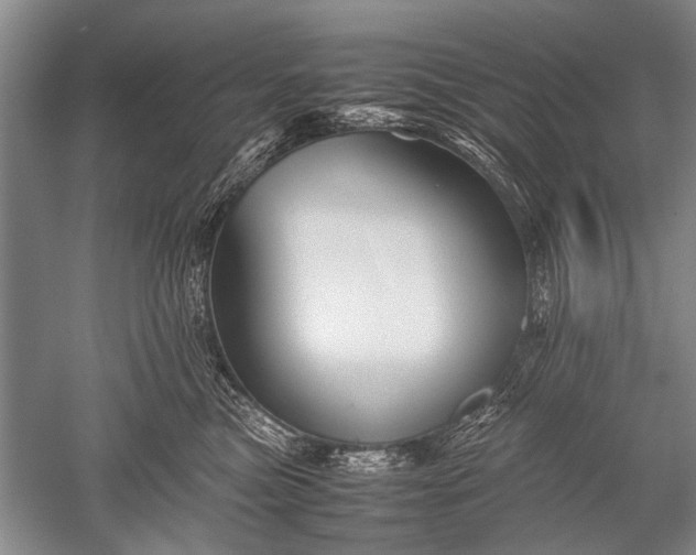 X0000052560473200507152231