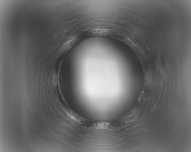X0000052560474200507152231