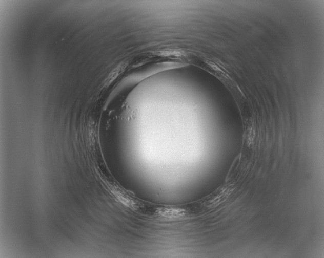 X0000052560476200507152231