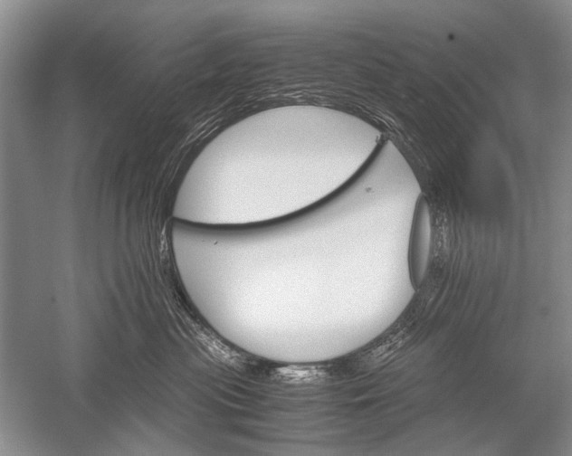 X0000052560477200507152231