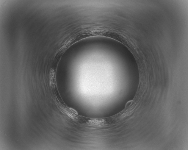 X0000052560480200507152231