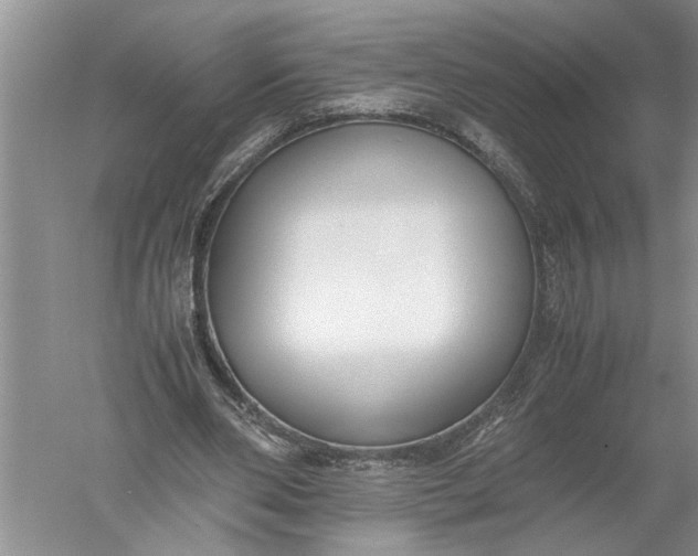 X0000052560486200507152230