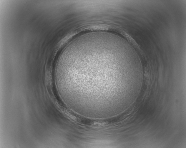 X0000052560487200507152230