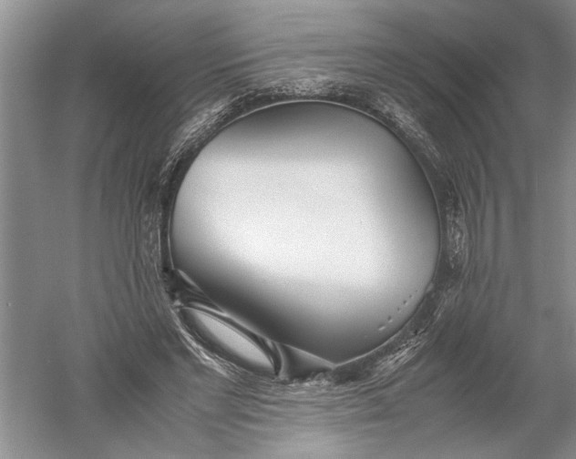 X0000052560493200507152230