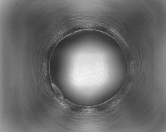 X0000052560497200507152230