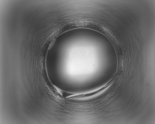 X0000052560501200507152230