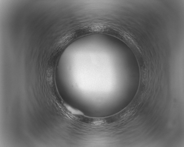 X0000052560505200507152229