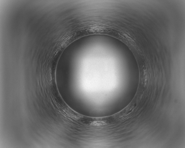X0000052560508200507152229