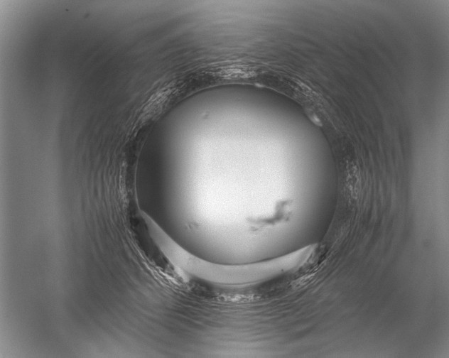 X0000052560512200507152229