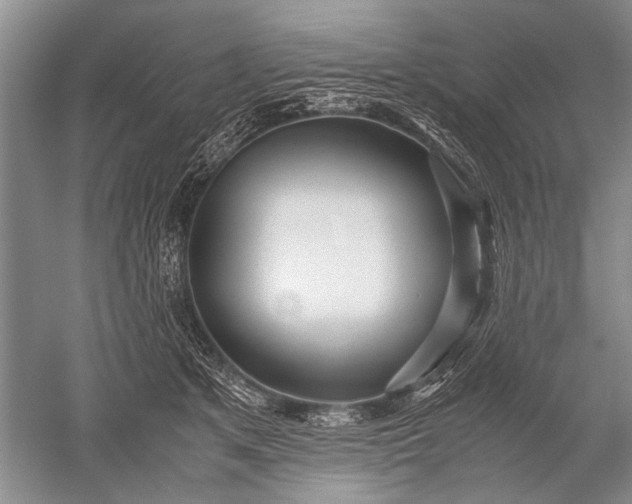 X0000052560513200507152229