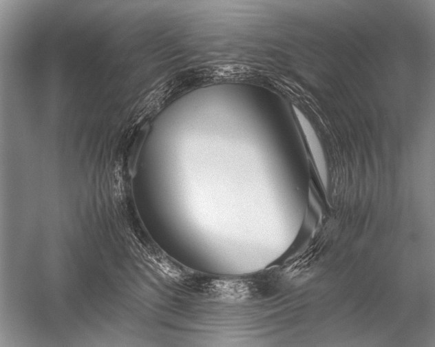 X0000052560520200507152229