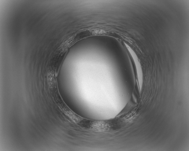 X0000052560521200507152229