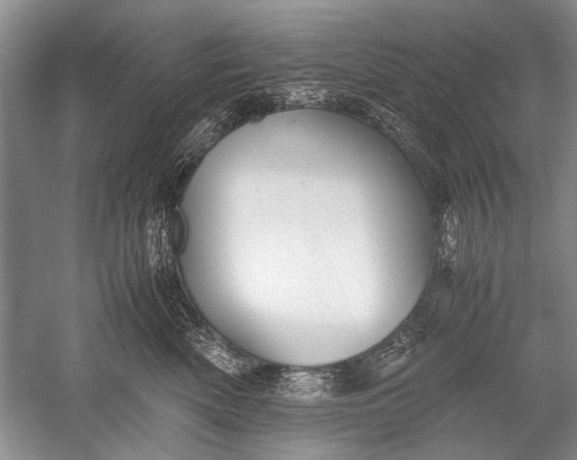 X0000052560522200507152229