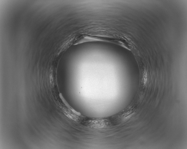 X0000052560524200507152229
