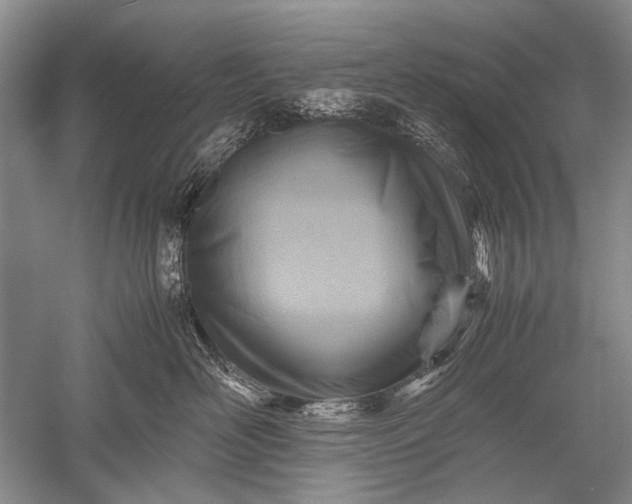 X0000052560526200507152229