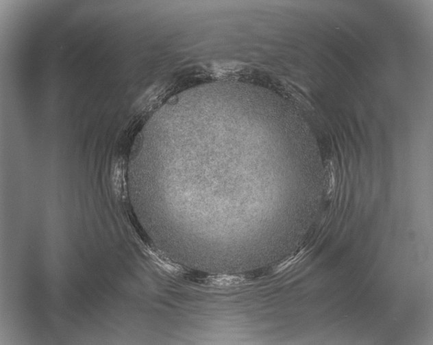 X0000052560527200507152229