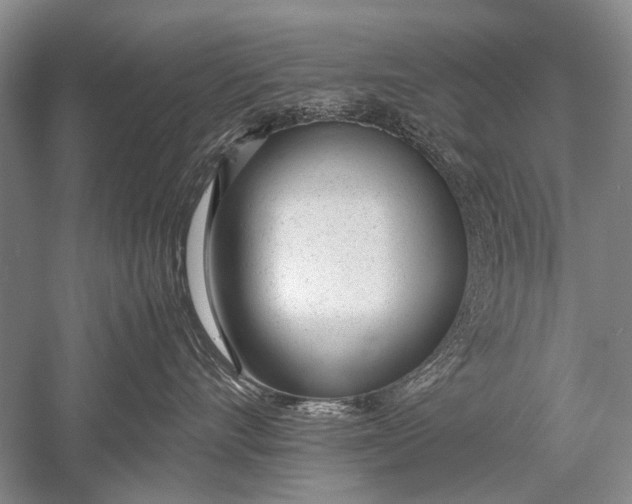 X0000052560528200507152229