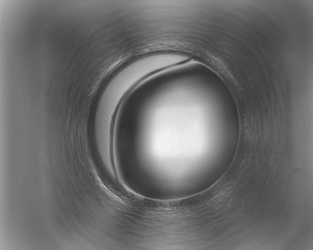 X0000052560538200507152228