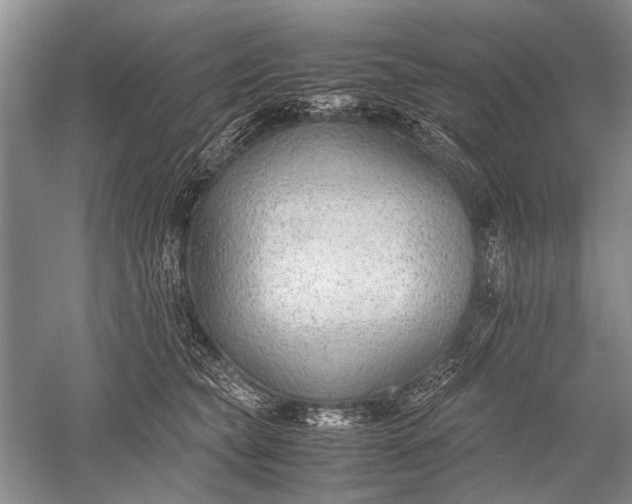 X0000052560565200507152229