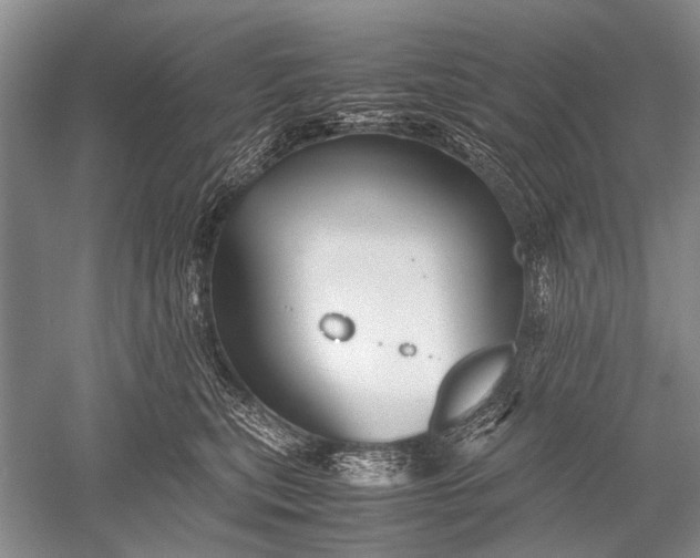 X0000052560567200507152229