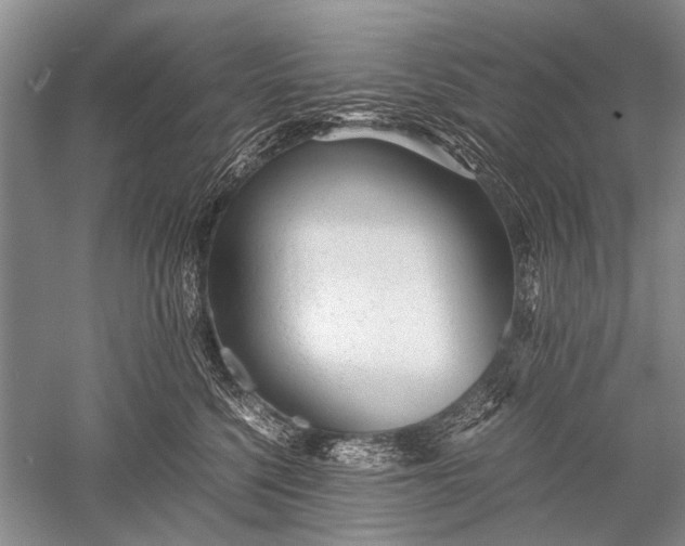 X0000052560568200507152229