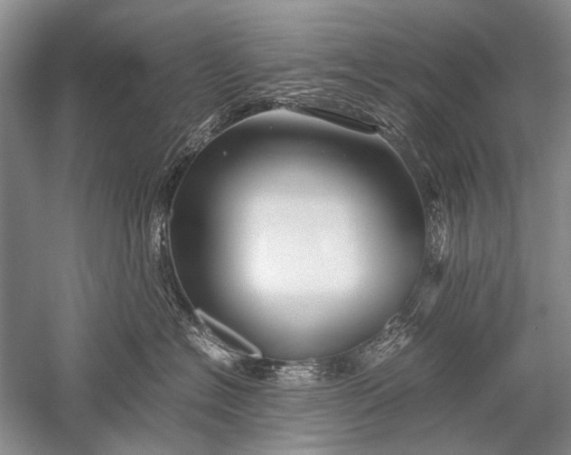 X0000052560574200507152229