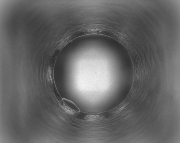 X0000052560575200507152229