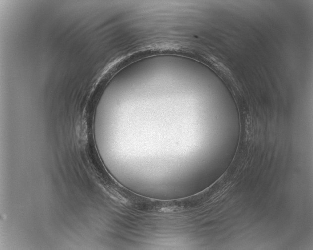 X0000052560584200507152228