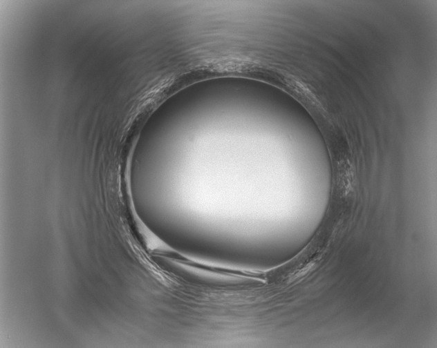 X0000052560589200507152228