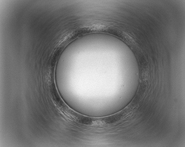 X0000052560591200507152228