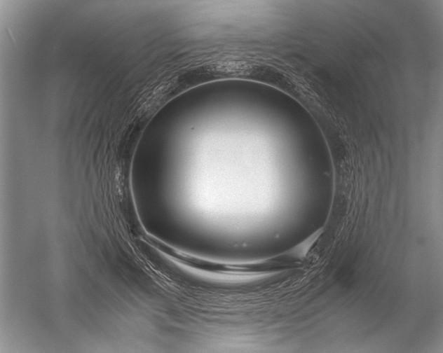 X0000052560597200507152228