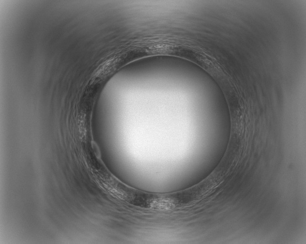 X0000052560599200507152228