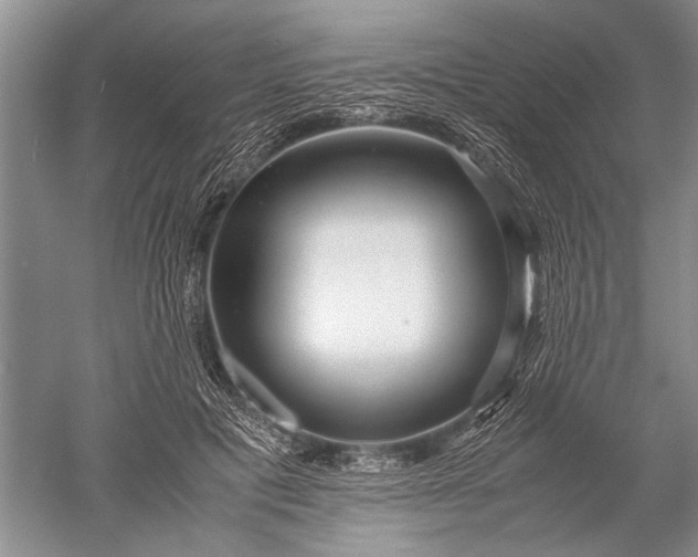 X0000052560601200507152228
