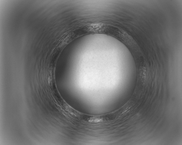 X0000052560602200507152228