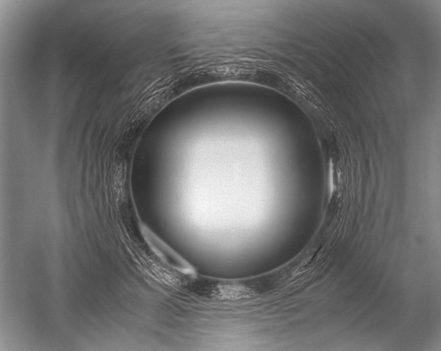 X0000052560605200507152228