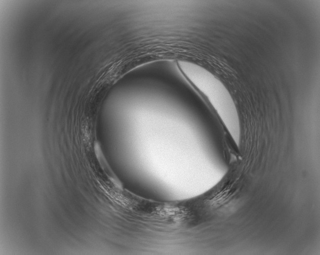 X0000052560607200507152228