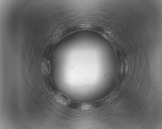 X0000052560609200507152228