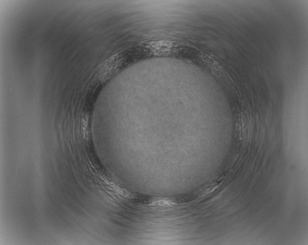 X0000052560610200507152228